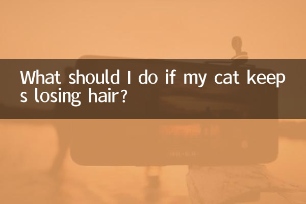 আমার বিড়াল চুল হারাতে থাকলে আমার কী করা উচিত?