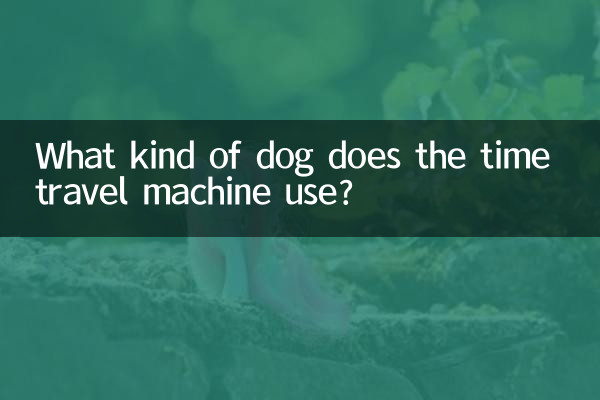 টাইম ট্রাভেল মেশিন কি ধরনের কুকুর ব্যবহার করে?