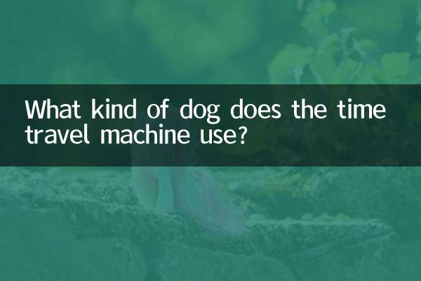 Quel genre de chien la machine à voyager dans le temps utilise-t-elle ?