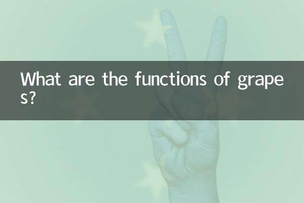포도의 기능은 무엇입니까?