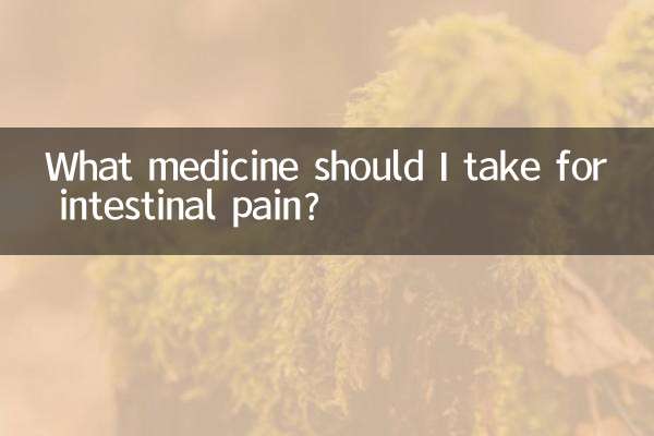 آنتوں کے درد کے ل I مجھے کیا دوا لینا چاہئے؟