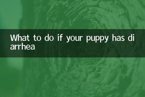What to do if your puppy has diarrhea