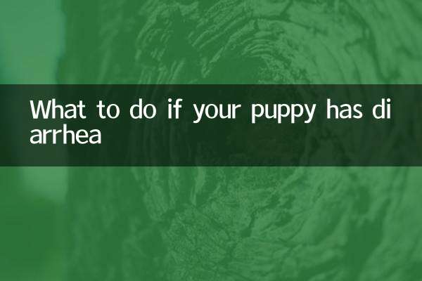 What to do if your puppy has diarrhea