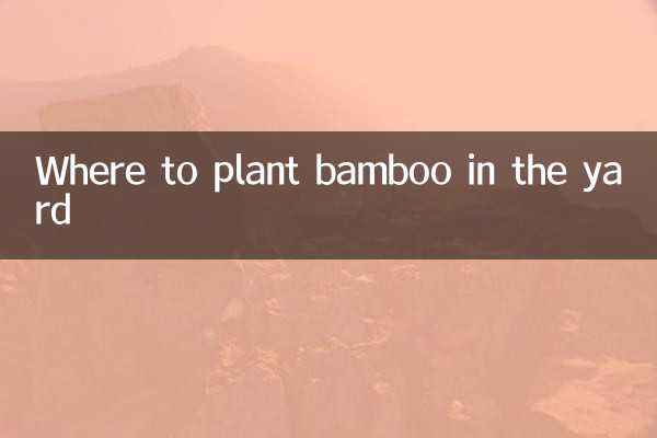محل کاشت بامبو در حیاط