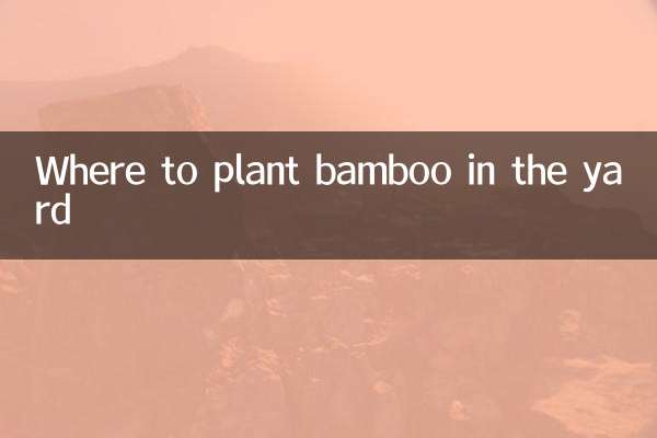 محل کاشت بامبو در حیاط