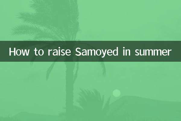 How to raise Samoyed in summer