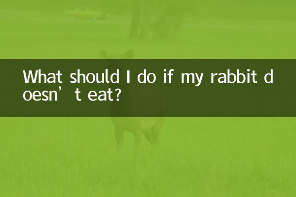 Что делать, если кролик не ест?