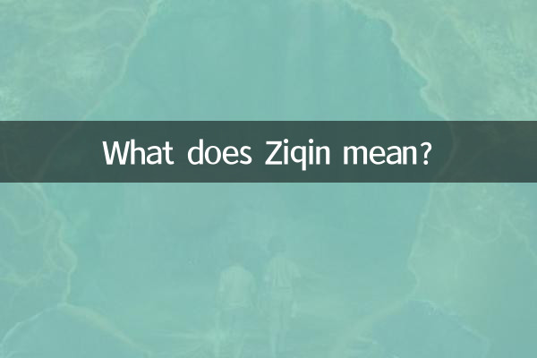 子琴とはどういう意味ですか?