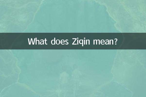 子钦是什么意思