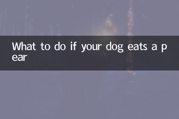 Cosa fare se il tuo cane mangia una pera?