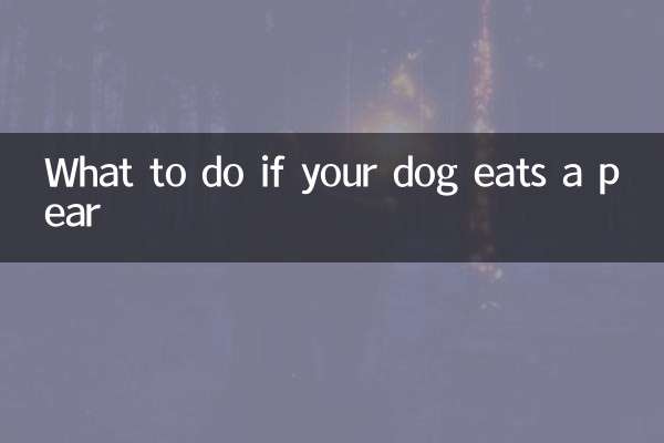 Cosa fare se il tuo cane mangia una pera?