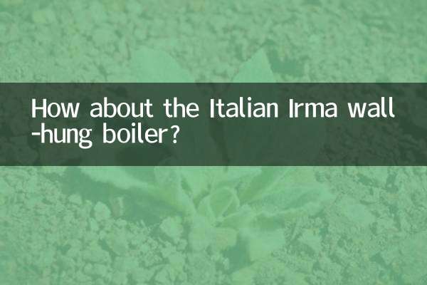 Che ne dici della caldaia murale italiana Irma?