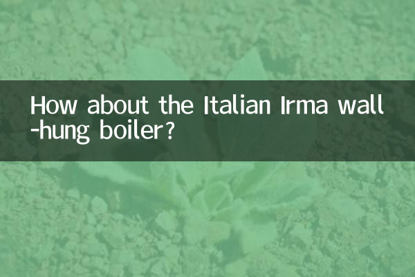 Che ne dici della caldaia murale italiana Irma?