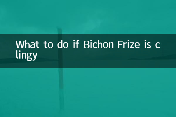 Что делать, если Бишон Фризе прилипчивый