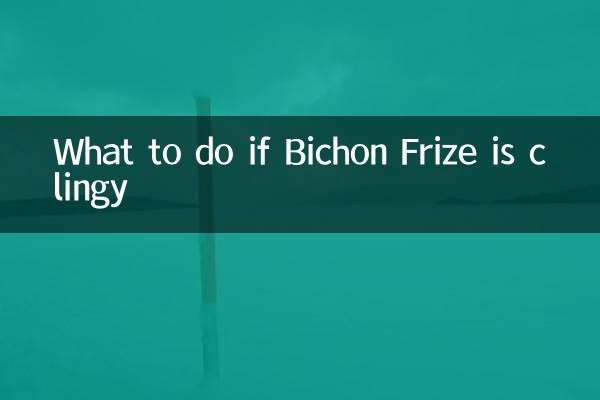 Bichon Frize가 집착하는 경우해야 할 일