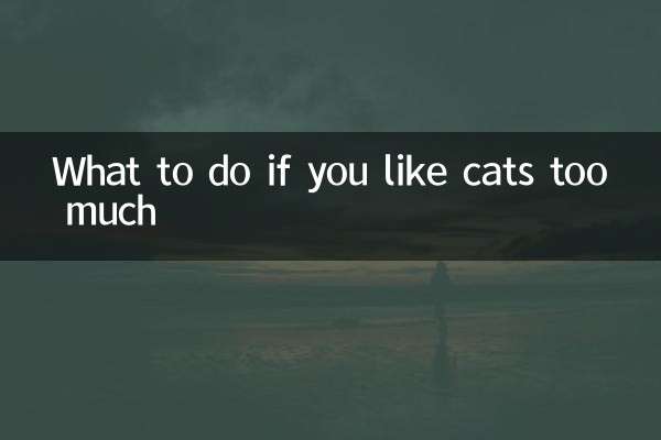 O que fazer se você gosta muito de gatos