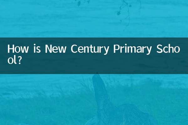 新世紀小學怎麼樣