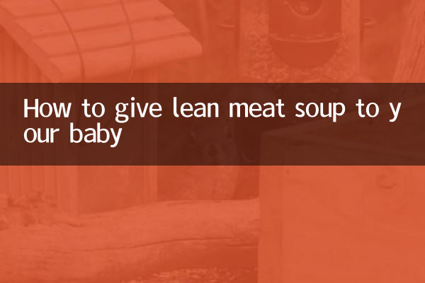 瘦肉汤怎么给宝宝吃
