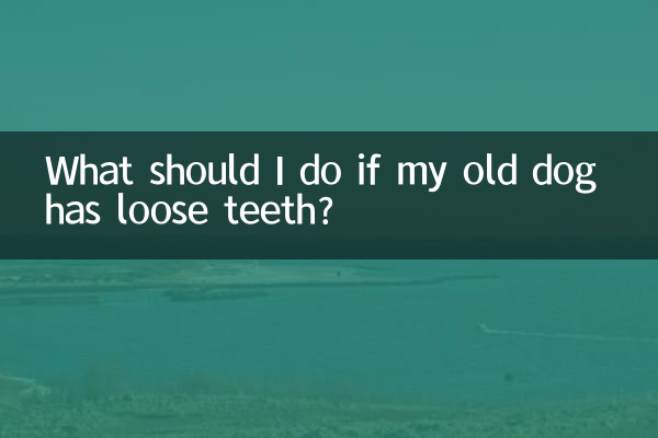 यदि मेरे बूढ़े कुत्ते के दांत ढीले हैं तो मुझे क्या करना चाहिए?