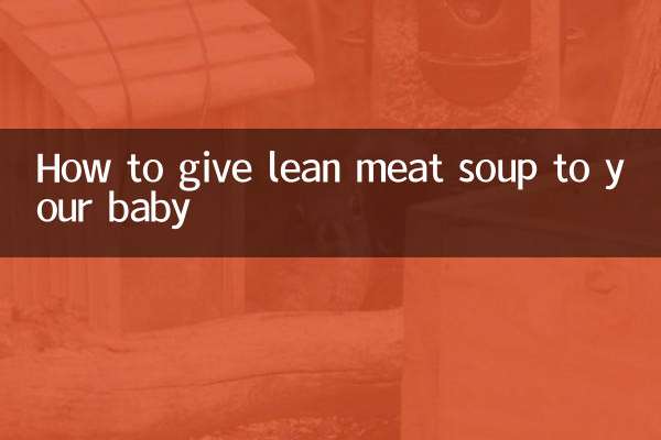 كيفية تقديم حساء اللحوم الخالية من الدهون لطفلك