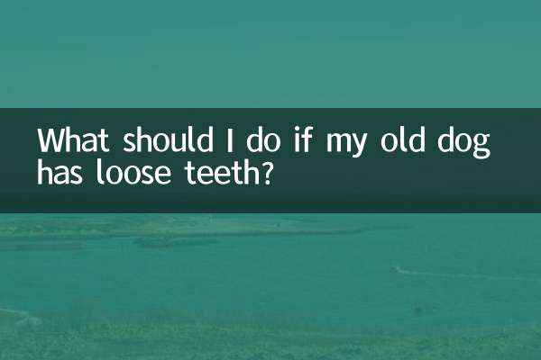 老狗牙齿松了怎么办