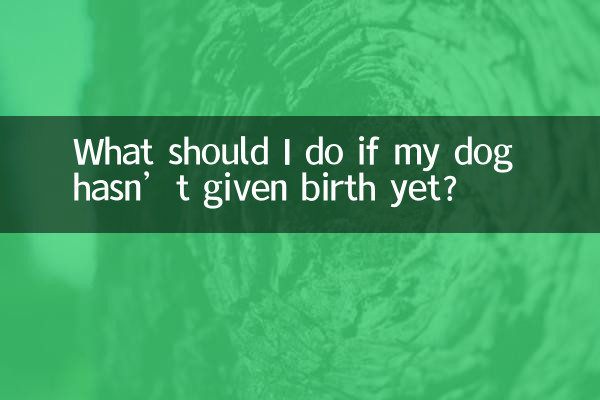 Что делать, если моя собака еще не родила?