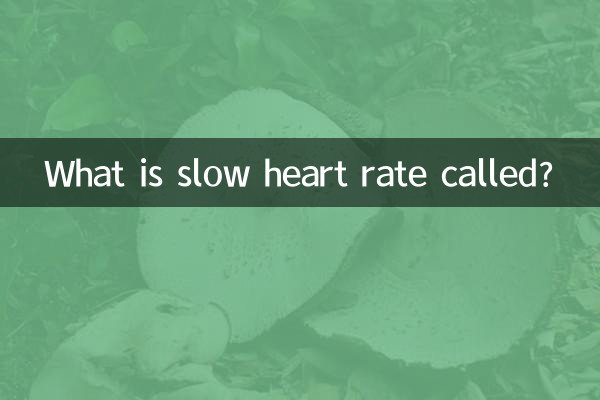 ¿Cómo se llama frecuencia cardíaca lenta?