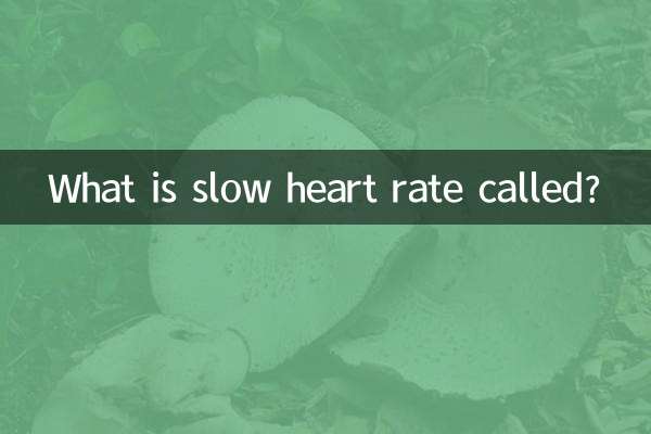 ¿Cómo se llama frecuencia cardíaca lenta?