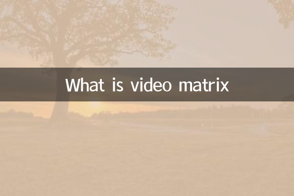 What is video matrix