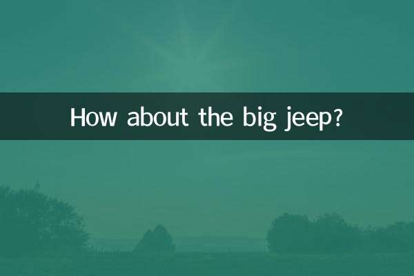 큰 지프는 어때요?
