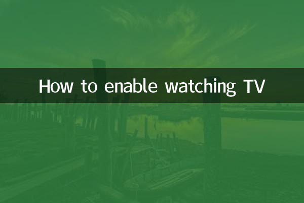 TV 시청을 활성화하는 방법