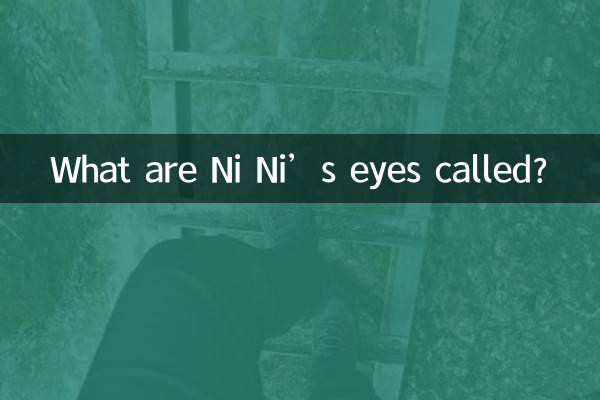 ¿Cómo se llaman los ojos de Ni Ni?