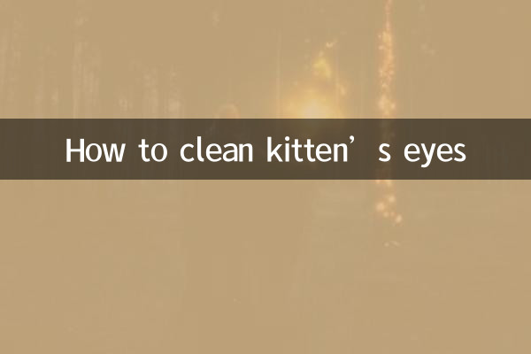 How to clean kitten’s eyes