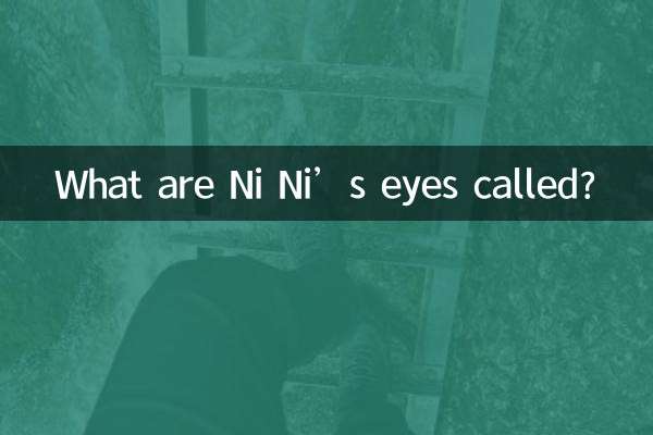 ニニの目は何と呼ばれていますか?