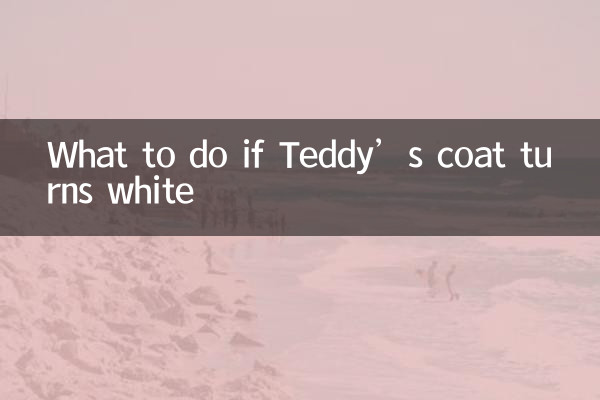 টেডির কোট সাদা হয়ে গেলে কী করবেন