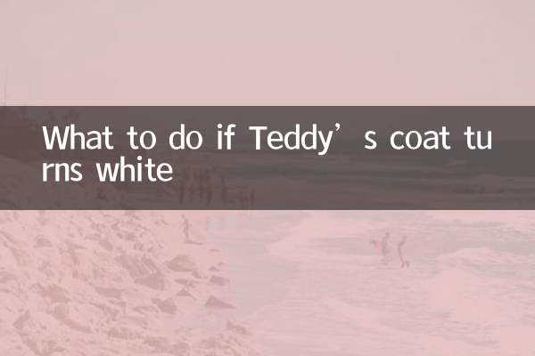 O que fazer se o casaco de Teddy ficar branco
