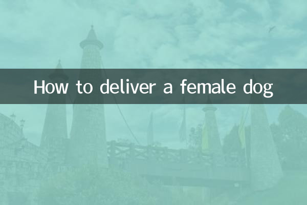 मादा कुत्ते की डिलीवरी कैसे करें