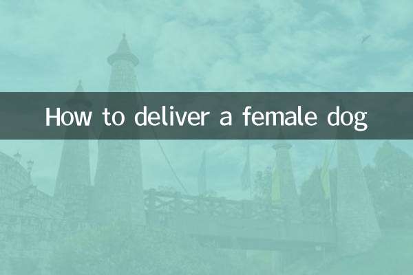 मादा कुत्ते की डिलीवरी कैसे करें