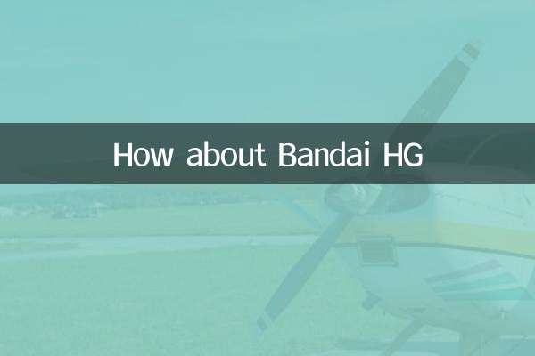 ماذا عن Bandai HG