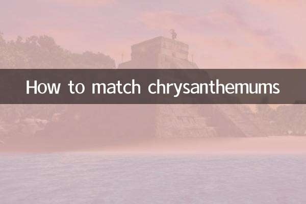 How to match chrysanthemums
