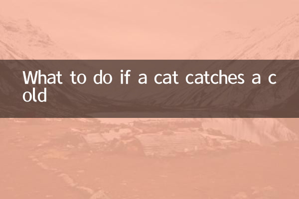 O que fazer se um gato pegar um resfriado