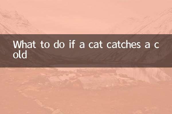 O que fazer se um gato pegar um resfriado