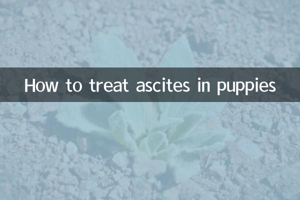 How to treat ascites in puppies