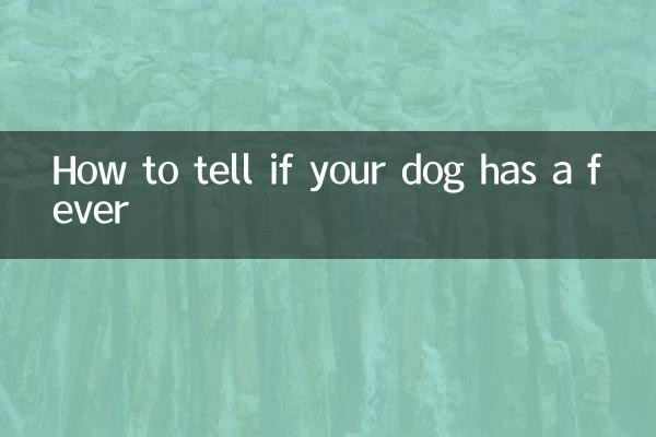 Comment savoir si votre chien a de la fièvre