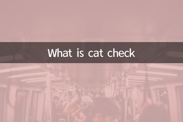 Что такое кошачья проверка