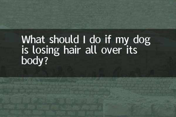 What should I do if my dog ​​is losing hair all over its body?
