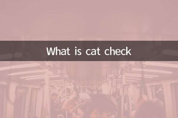 cat檢查是什麼
