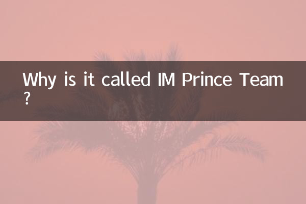 Warum heißt es IM Prince Team?