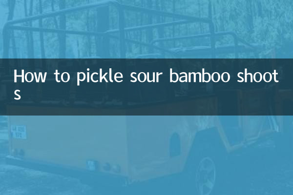 نحوه ترشی کردن شاخه های بامبو ترش