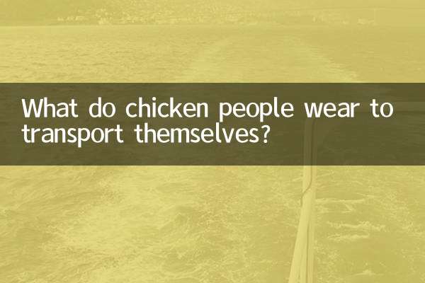 مرغ ها برای حمل و نقل خود چه می پوشند؟